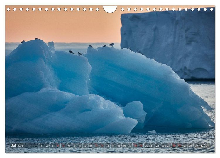 Produktbild: Svalbard-Momente (Wandkalender 2026 DIN A4 quer), CALVENDO Monatskalender