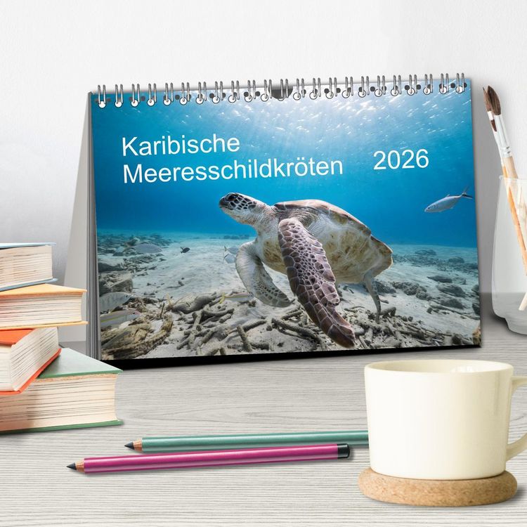 Produktbild: Karibische Meeresschildkr&ouml;ten (Tischkalender 2026 DIN A5 quer), CALVENDO Monatskalender