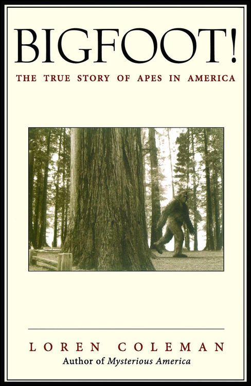 Produktbild: Bigfoot!