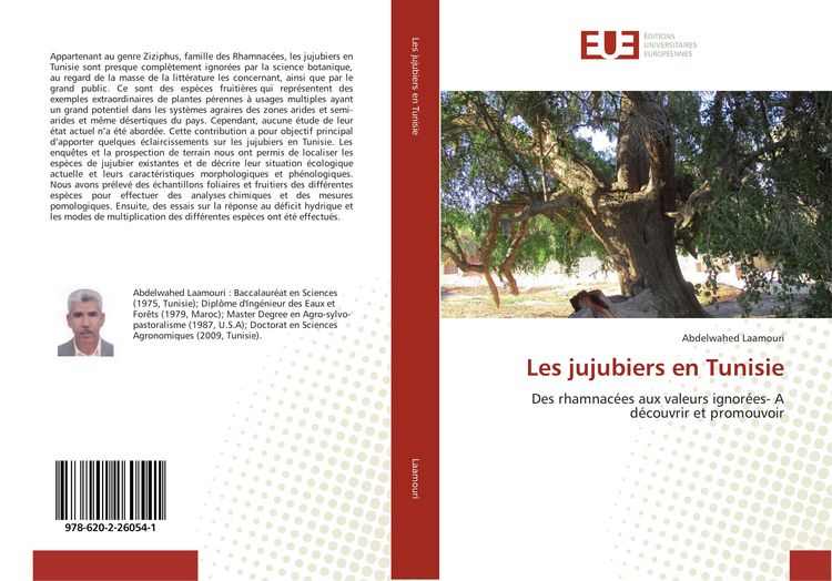 Produktbild: Les jujubiers en Tunisie