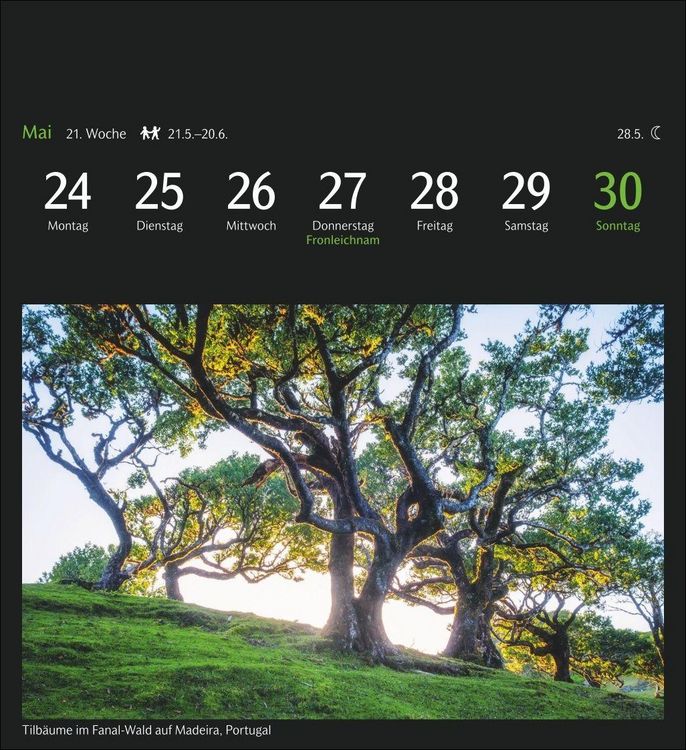 Produktbild: GEO Magische Natur Postkartenkalender 2027 - Wochenkalender mit 53 Postkarten