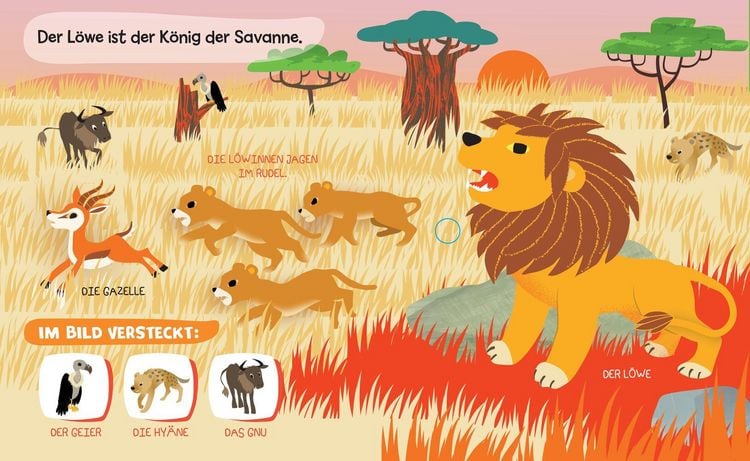 Produktbild: Mein Entdecker-Soundbuch - Tiere Afrikas