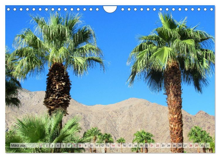 Produktbild: Palm Springs und Umgebung (Wandkalender 2026 DIN A4 quer), CALVENDO Monatskalender