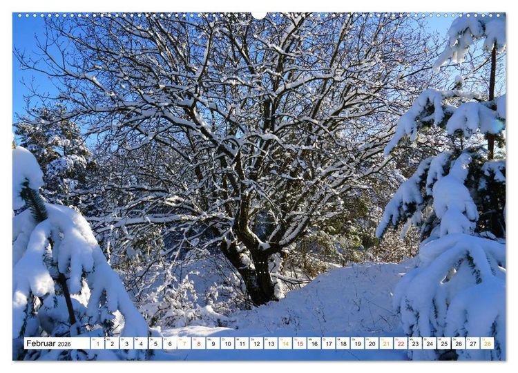 Produktbild: 12 Monate Natur (hochwertiger Premium Wandkalender 2026 DIN A2 quer), Kunstdruck in Hochglanz