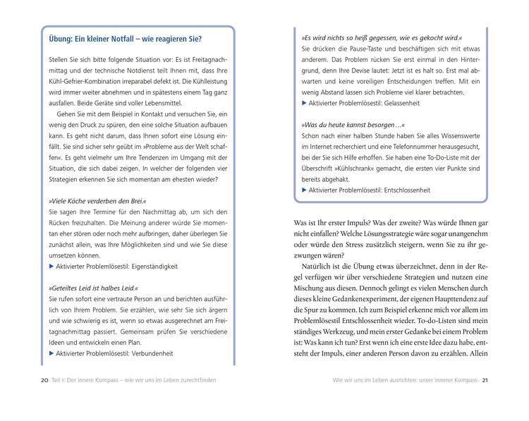 Produktbild: Wenn das Leben kippt