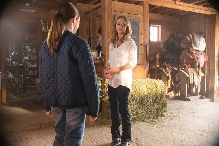 Produktbild: Heartland - Paradies f&uuml;r Pferde, Staffel 8 (Neuauflage) [6 DVDs]