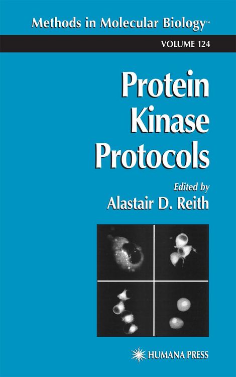 Produktbild: Protein Kinase Protocols