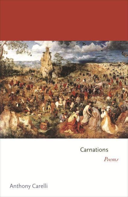 Produktbild: Carnations