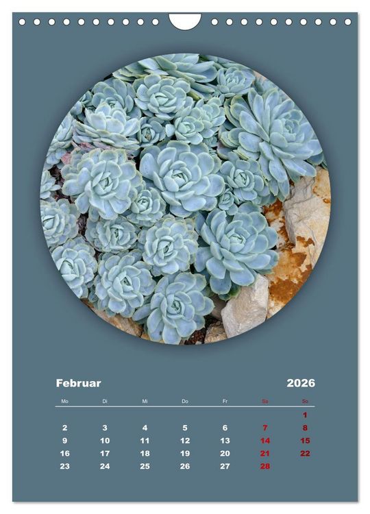 Produktbild: Rundherum Natur (Wandkalender 2026 DIN A4 hoch), CALVENDO Monatskalender