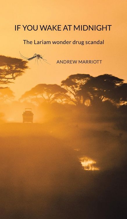 Produktbild: Marriott, A: If You Wake at Midnight