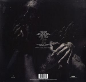 Produktbild: We Are Not Your Kind (Clear Vinyl)