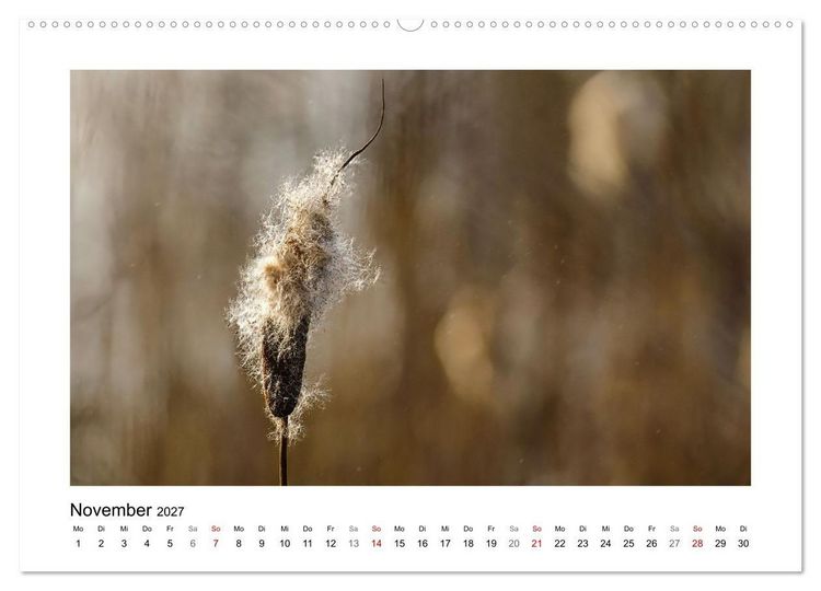 Produktbild: Zauber verg&auml;nglicher Bl&uuml;ten (hochwertiger Premium Wandkalender 2027 DIN A2 quer), Kunstdruck in Hochglanz
