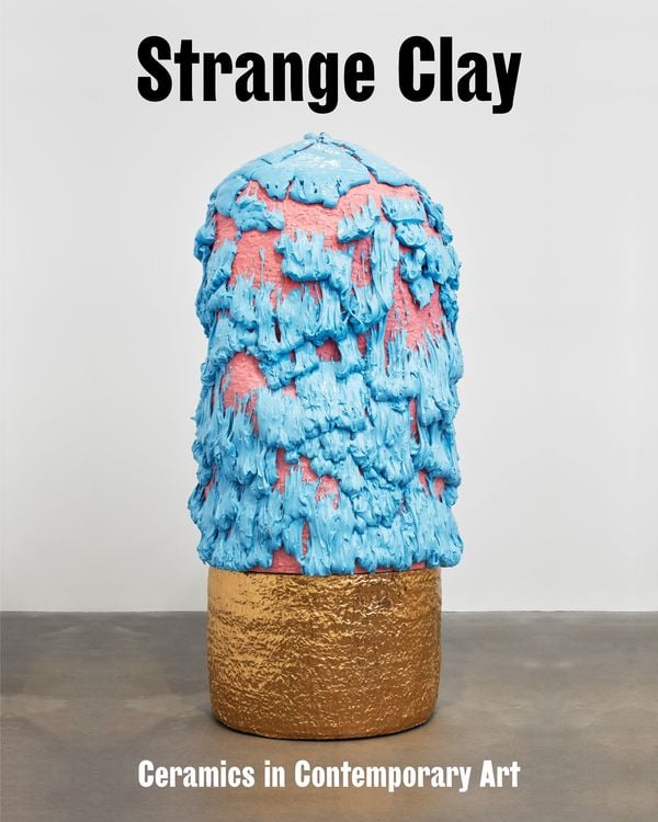 Bild vom Artikel Strange Clay vom Autor Allie Biswas