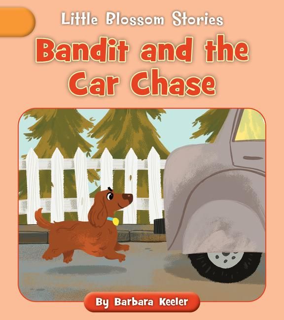 Produktbild: Bandit and the Car Chase