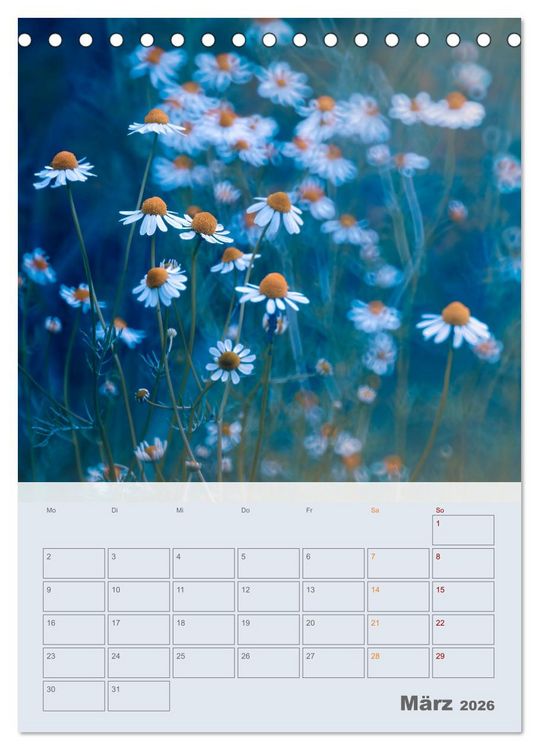 Produktbild: Magie im Garten (Tischkalender 2026 DIN A5 hoch), CALVENDO Monatskalender