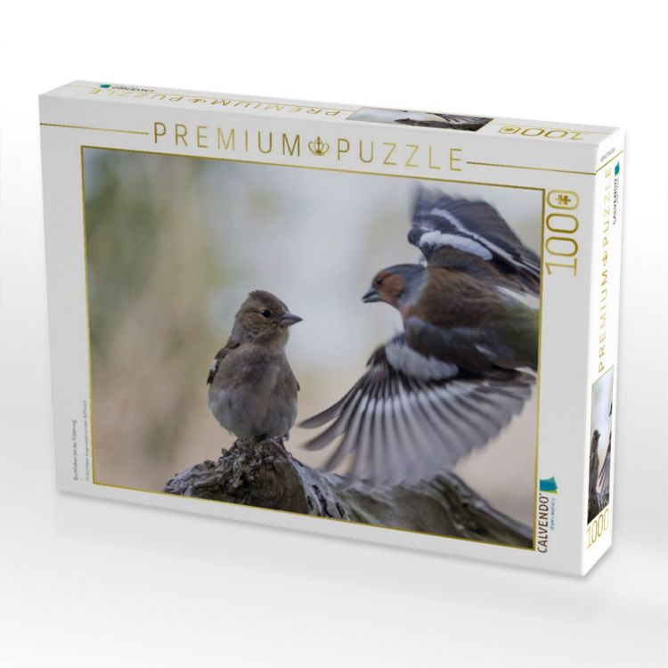 Produktbild: CALVENDO Puzzle Buchfinken bei der F&uuml;tterung | 1000 Teile Lege-Gr&ouml;&szlig;e 64x48cm Foto-Puzzle f&uuml;r gl&uuml;ckliche Stunden