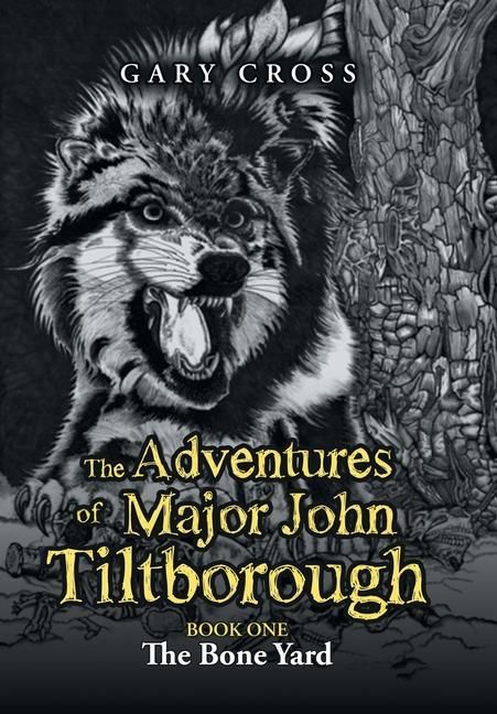 Produktbild: The Adventures of Major John Tiltborough