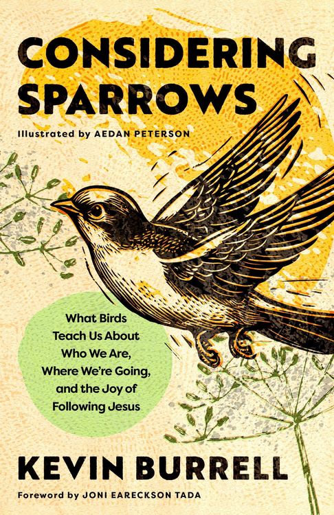 Produktbild: Considering Sparrows