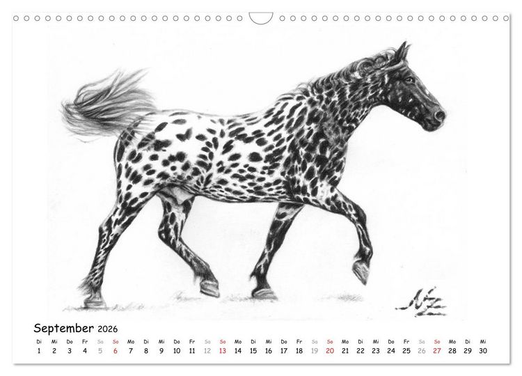 Produktbild: Arts & Horses (Wandkalender 2026 DIN A3 quer), CALVENDO Monatskalender