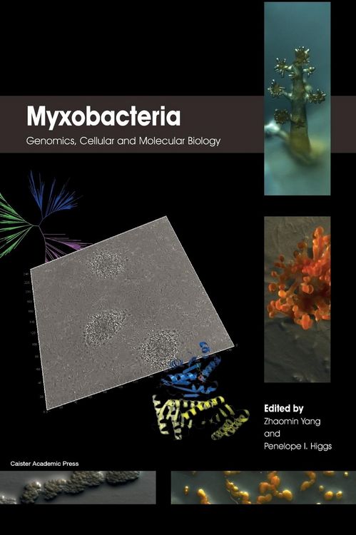Produktbild: Myxobacteria