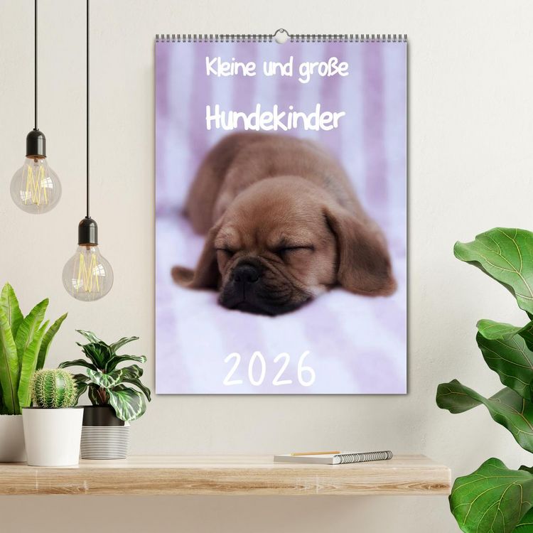 Produktbild: Kleine und gro&szlig;e Hundekinder 2026 (Wandkalender 2026 DIN A2 hoch), CALVENDO Monatskalender