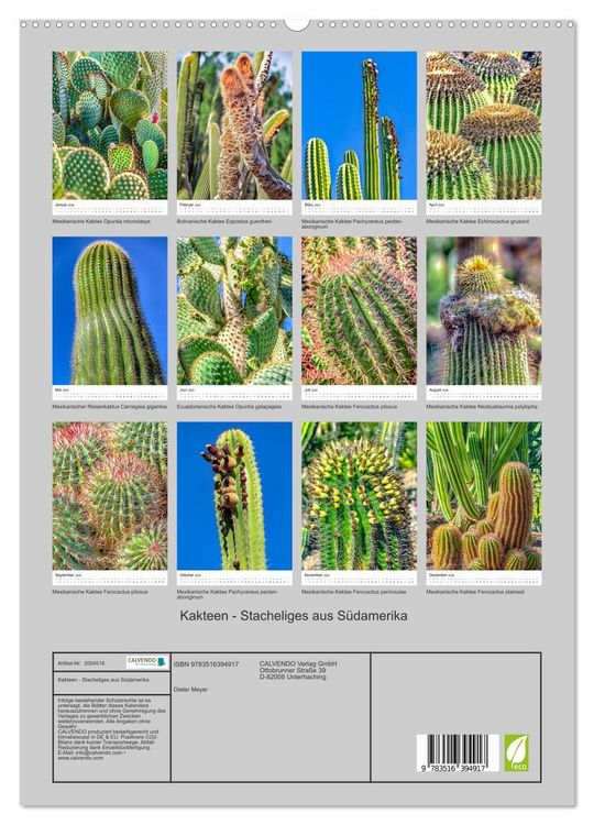 Produktbild: Kakteen - Stacheliges aus S&uuml;damerika (hochwertiger Premium Wandkalender 2026 DIN A2 hoch), Kunstdruck in Hochglanz