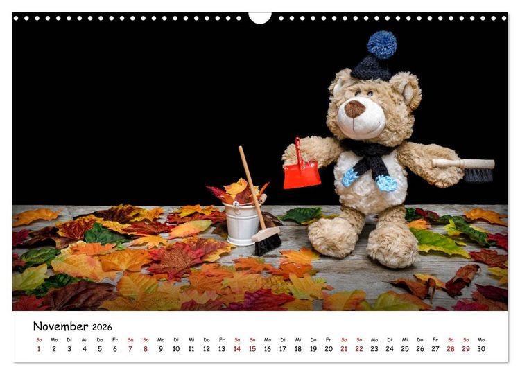 Produktbild: Eddy, der Teddy (Wandkalender 2026 DIN A3 quer), CALVENDO Monatskalender