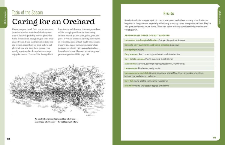 Produktbild: The Backyard Homestead Seasonal Planner