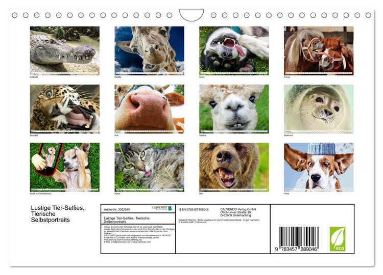 Produktbild: Lustige Tier-Selfies. Tierische Selbstportraits (Wandkalender 2026 DIN A4 quer), CALVENDO Monatskalender