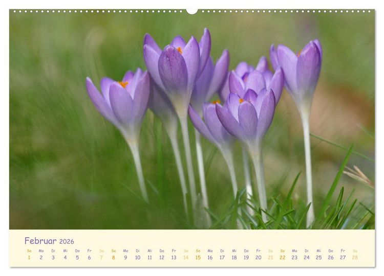 Produktbild: Naturwunder Bl&uuml;ten (hochwertiger Premium Wandkalender 2026 DIN A2 quer), Kunstdruck in Hochglanz