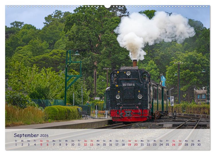 Produktbild: R&uuml;genliebe (Wandkalender 2026 DIN A2 quer), CALVENDO Monatskalender