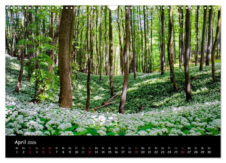 Produktbild: Faszination Harz 2026 (Wandkalender 2026 DIN A3 quer), CALVENDO Monatskalender