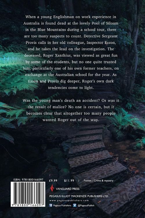 Produktbild: The Pool of Siloam