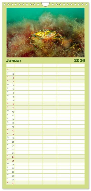 Produktbild: Familienplaner 2026 - Unter Wasser rund um Fehmarn mit 5 Spalten (Wandkalender, 21 x 45 cm) CALVENDO