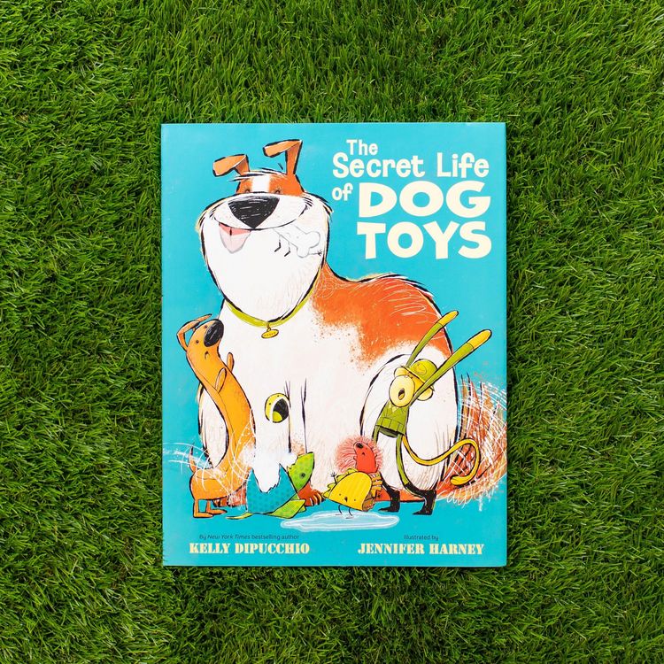 Produktbild: The Secret Life of Dog Toys