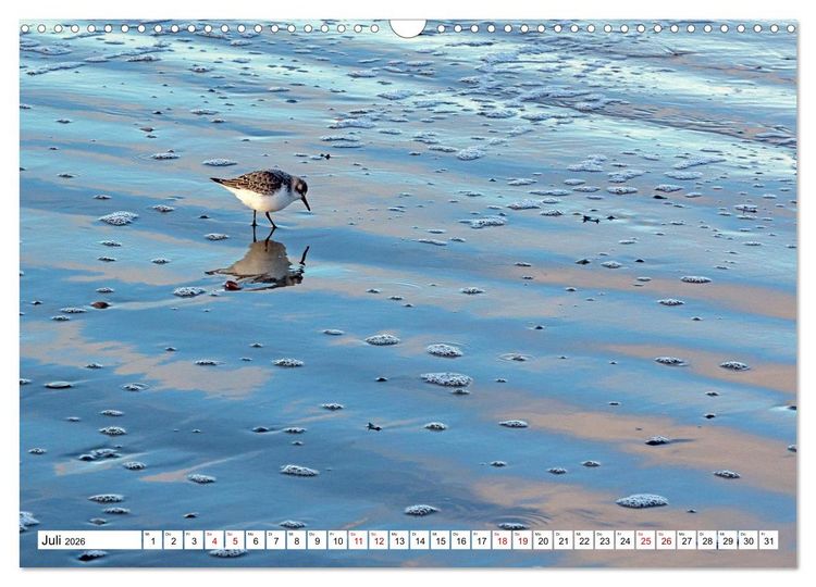 Produktbild: Wintertage auf Norderney (Wandkalender 2026 DIN A3 quer), CALVENDO Monatskalender