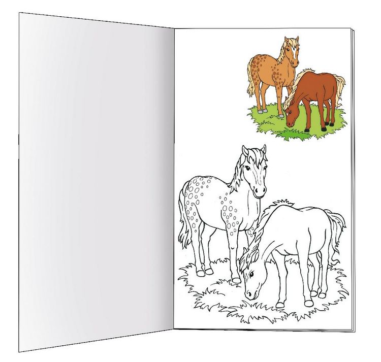 Produktbild: Ausmalbuch mit Stickern "Meine bunte Pferdewelt"