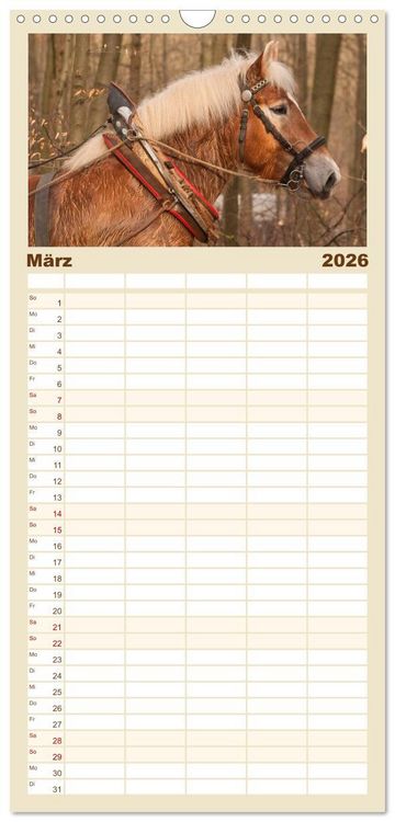 Produktbild: Familienplaner 2026 - Kaltblut - schwere Pferde mit Herz mit 5 Spalten (Wandkalender, 21 x 45 cm) CALVENDO