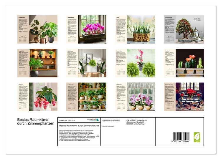 Produktbild: Bestes Raumklima durch Zimmerpflanzen (hochwertiger Premium Wandkalender 2026 DIN A2 quer), Kunstdruck in Hochglanz