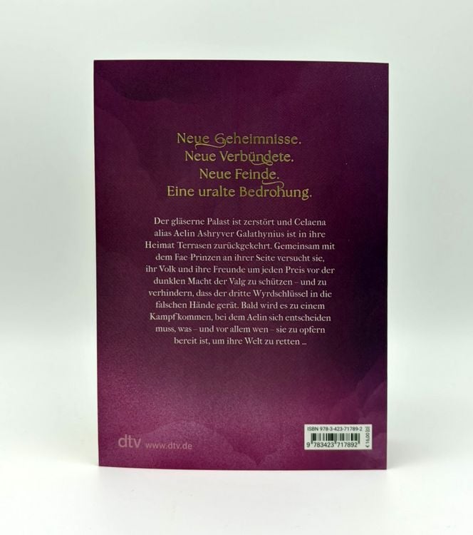 Produktbild: Die Sturmbezwingerin / Throne of Glass Bd. 5