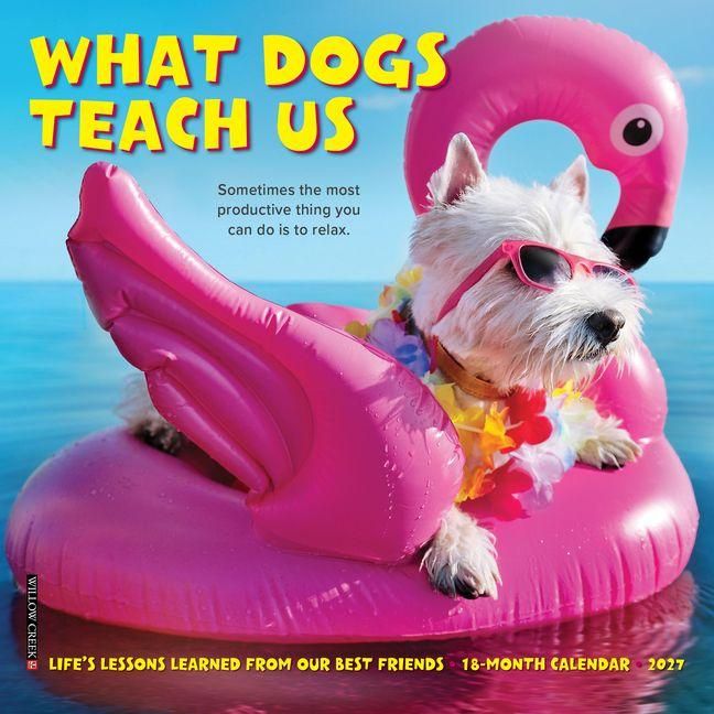 Produktbild: What Dogs Teach Us 2027 7 X 7 Mini Wall Calendar