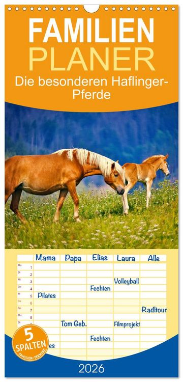 Produktbild: Familienplaner 2026 - Die besonderen Haflinger-Pferde mit 5 Spalten (Wandkalender, 21 x 45 cm) CALVENDO