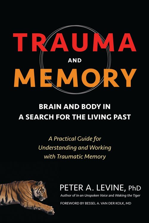 Produktbild: Trauma and Memory