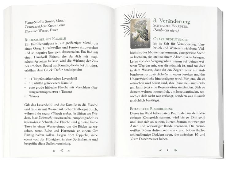Produktbild: Das magische Orakel der Heilpflanzen