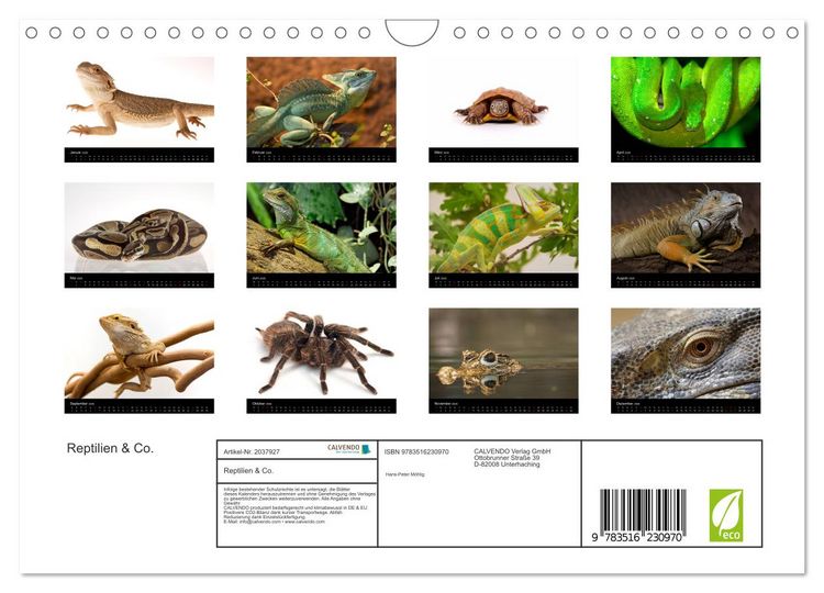 Produktbild: Reptilien & Co. (Wandkalender 2026 DIN A4 quer), CALVENDO Monatskalender