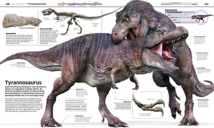 Produktbild: DK Wissen. Dinosaurier