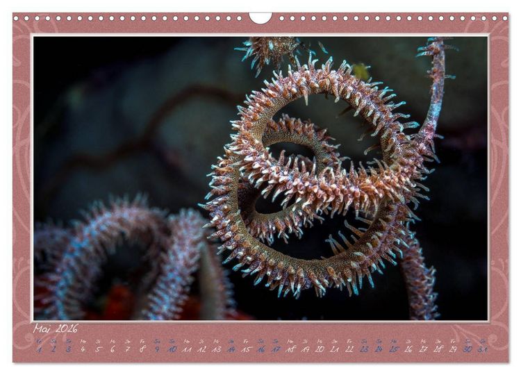 Produktbild: Unterwasser Kunstwerke (Wandkalender 2026 DIN A3 quer), CALVENDO Monatskalender