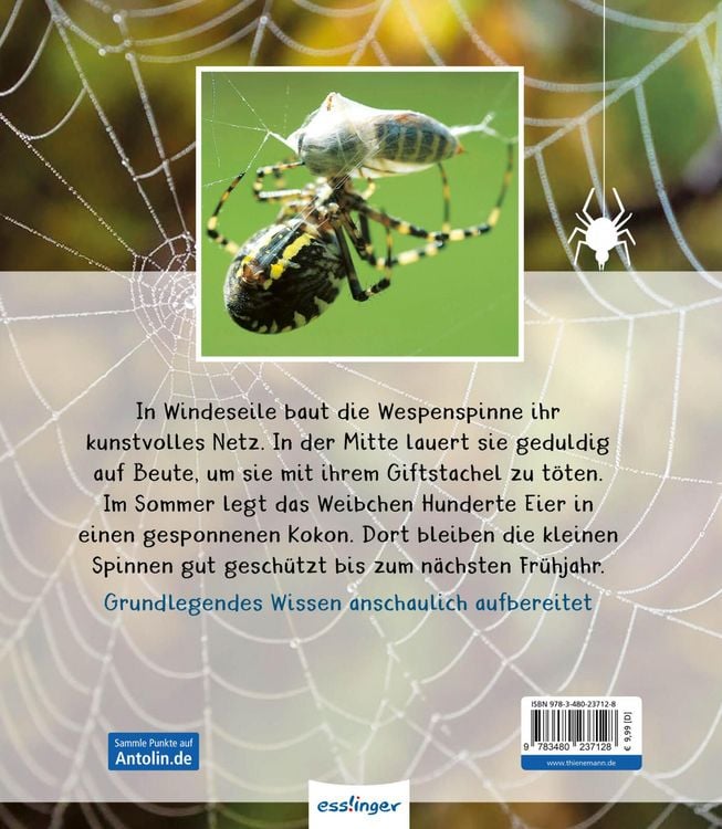 Produktbild: Meine gro&szlig;e Tierbibliothek: Die Spinne