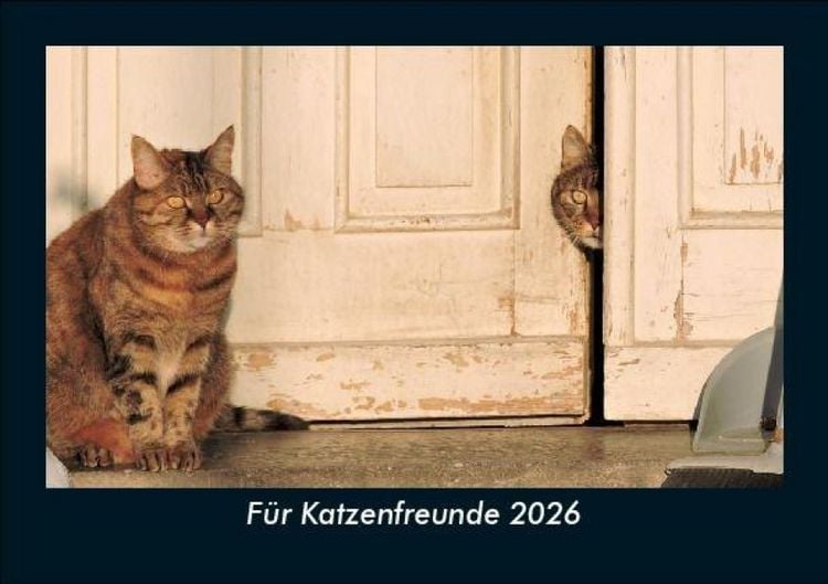 Produktbild: F&uuml;r Katzenfreunde 2026 Fotokalender DIN A5
