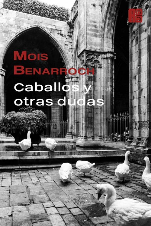 Produktbild: Caballos y otras dudas